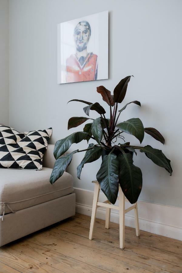 Baixa24 •P2R• Bright Apt In Vibrant Downtown Porto Bagian luar foto